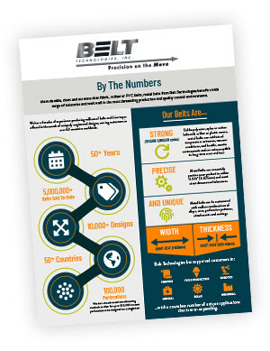 BELT Infographic